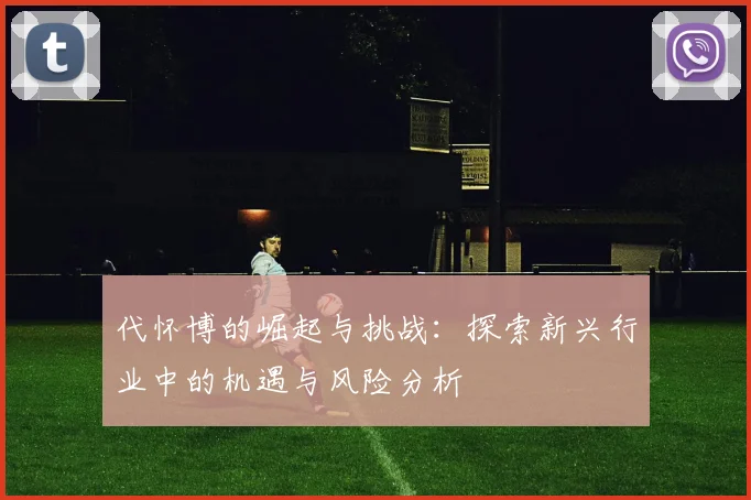 代怀博的崛起与挑战：探索新兴行业中的机遇与风险分析