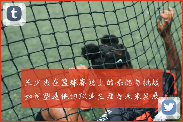 王少杰在篮球赛场上的崛起与挑战如何塑造他的职业生涯与未来发展