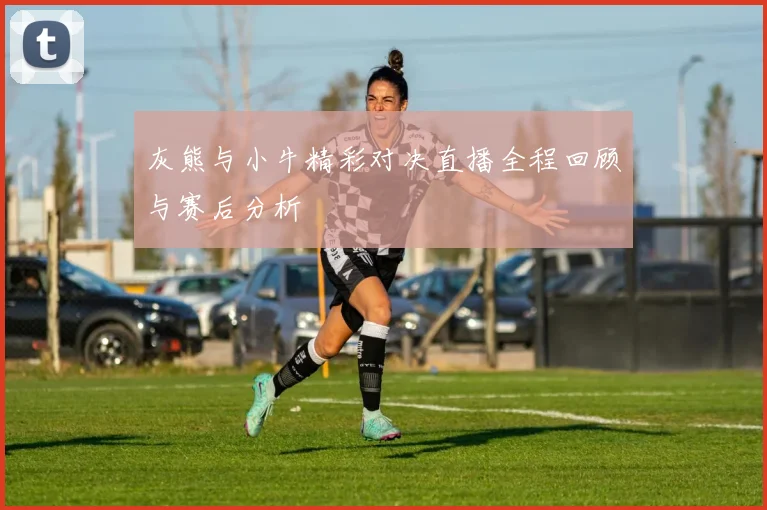 灰熊与小牛精彩对决直播全程回顾与赛后分析