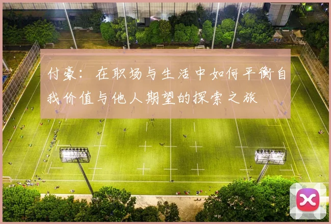付豪：在职场与生活中如何平衡自我价值与他人期望的探索之旅