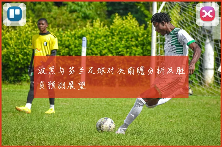波黑与芬兰足球对决前瞻分析及胜负预测展望