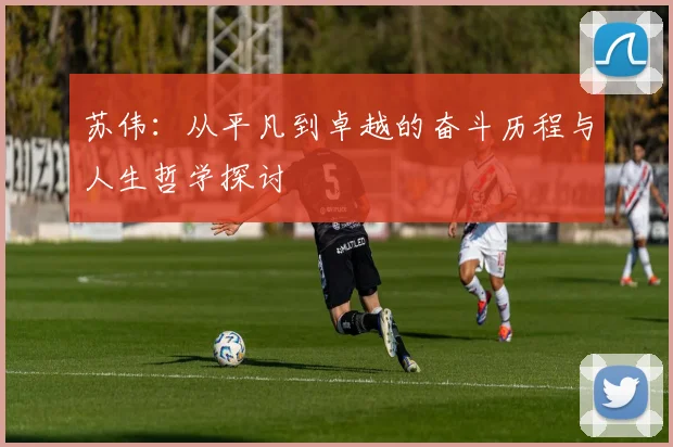 苏伟：从平凡到卓越的奋斗历程与人生哲学探讨