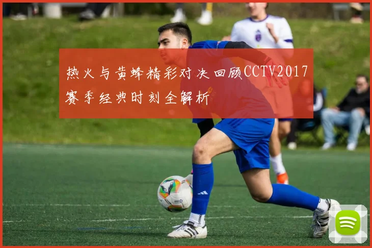 热火与黄蜂精彩对决回顾CCTV2017赛季经典时刻全解析