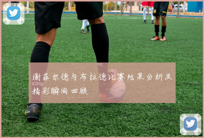 谢菲尔德与布拉德比赛结果分析及精彩瞬间回顾