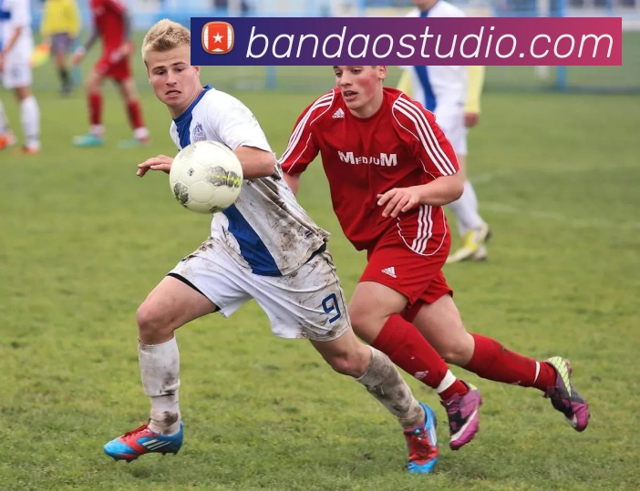 半岛体育服务体系